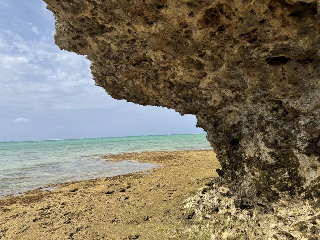 ���i����Ȃ������������C�͑�l�ł��V�N�Ŋy���������ł��I_�w�q���̗V�я�x �}�����V���b�v��