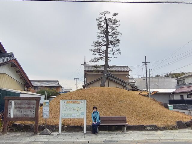 ��������̗��}���ꗢ�˂̓��e�ʐ^1