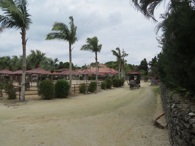 �|�x���|�x���d�v�`���I�������Q�ۑ��n��_�|�x���|�x���d�v�`���I�������Q�ۑ��n��