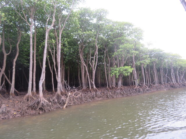 ���Ԑ�V���@�q���M_���Ԑ�V��