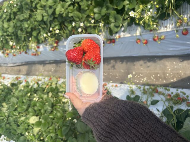 ������_���肢���������肪�ƃt�@�[��