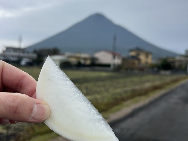 �J���x�o�b�N��_���[�t�@�[���������