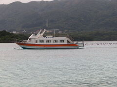 �܂��͂������邭��̎ʐ^1