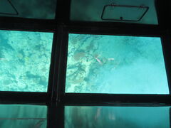 �܂��͂������邭��̎ʐ^3