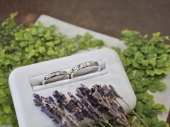 ���H�ɂ̎ʐ^1