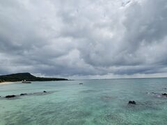 �R�Y�~�b�N�A�[�X�̎ʐ^1