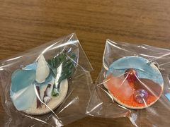 �V�R�V�[�O���X���X A-GLASS�̎ʐ^1