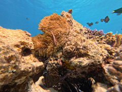 �^�[���J����̖`���� ���ꑍ���A�E�g�h�A�c�A�[���X�ւ̓��e�ʐ^1