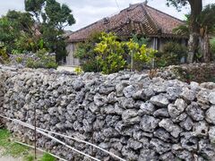 �Ί_���h���[���ό��̎ʐ^1