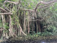 �u���[�t�B�[���h�̎ʐ^3