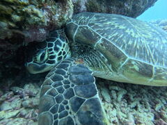 �}�����V���b�vHAPPY�̎ʐ^2