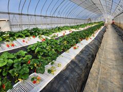 �V�~�Y�t�@�[���̎ʐ^2