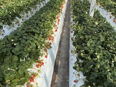 ���肢���������肪�ƃt�@�[���̎ʐ^1