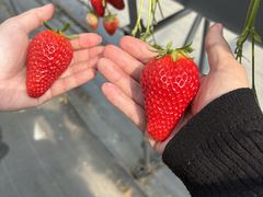 �������������̎ʐ^1