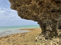 �w�q���̗V�я�x �}�����V���b�v���̎ʐ^1