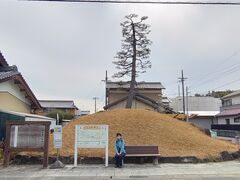 ��������̗��}���ꗢ�˂ւ̓��e�ʐ^1