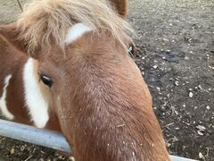 �����Y�ӂꂠ���ǂ��Ԃ��̎ʐ^1