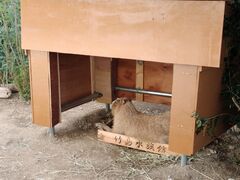 Otama����̒|�������قւ̓��e�ʐ^1