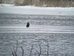 �I�z�[�c�N���R���̎ʐ^1