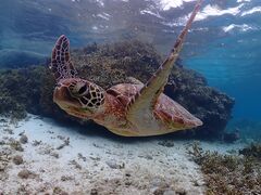 Nami�{�Ó��̎ʐ^1