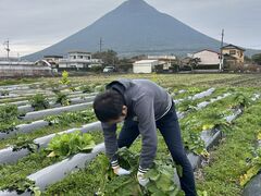 ���[�t�@�[��������Ђ̎ʐ^1