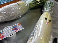 ���[�t�@�[��������Ђ̎ʐ^3