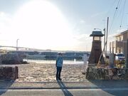 ��������̖k��؂̓��e�ʐ^3