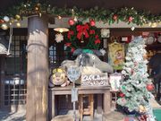 Otama����̗R�z�@�w�̓��e�ʐ^3