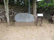 �L������̌������̓��e�ʐ^2