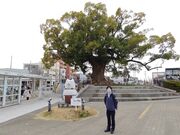 ��������̑P������N�X�̓��e�ʐ^1