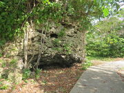 �L������̒Ôg��΂̓��e�ʐ^2