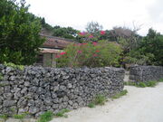 �L������̒|�x���|�x���d�v�`���I�������Q�ۑ��n��̓��e�ʐ^3