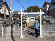 ��������̔��{��̓��e�ʐ^4