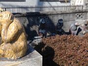 ��������̔��{��̓��e�ʐ^5