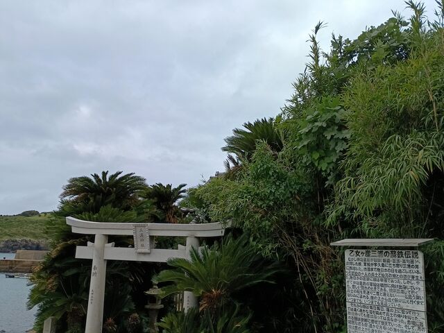 sokudumo����̎O�Y�_�Ђ̃\�e�c�Q���̓��e�ʐ^1