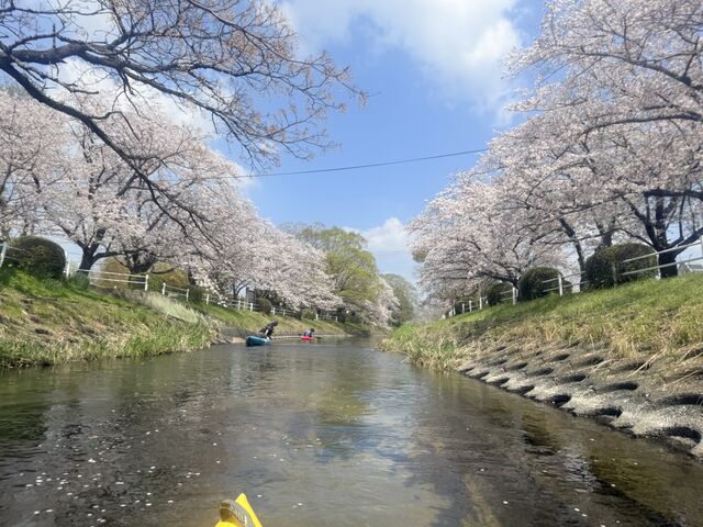 ���т����SAGASOW(��������)�̓��e�ʐ^1