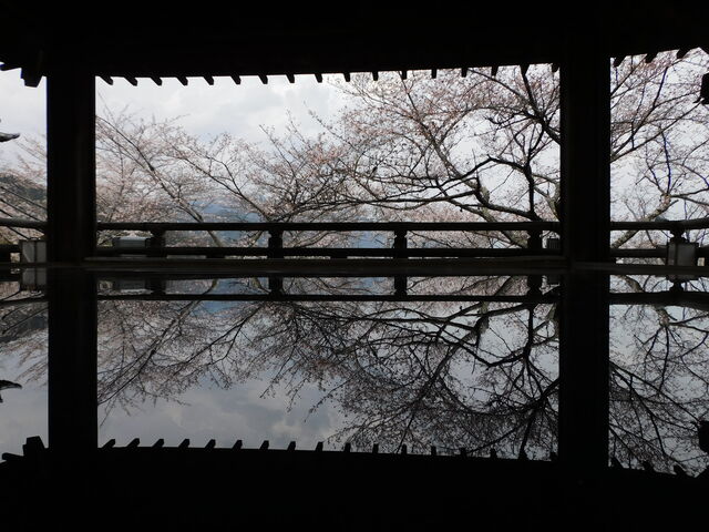 �O���`������̎O�䎛�ω����̓��e�ʐ^2