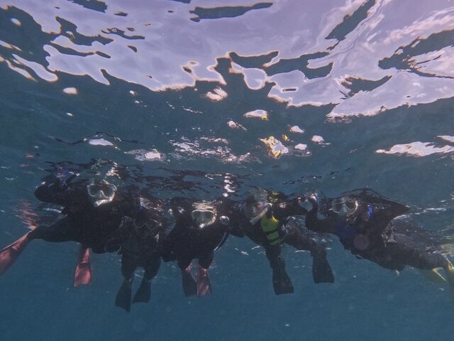 �݂�ȂŃs�[�X_DIVE IN CHATAN