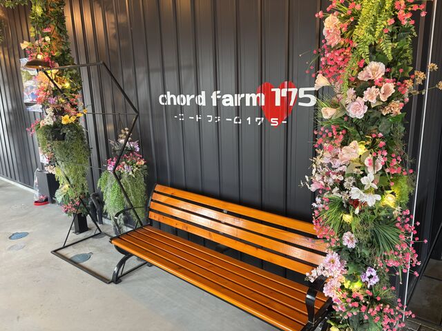 ��t�O_chord farm 175