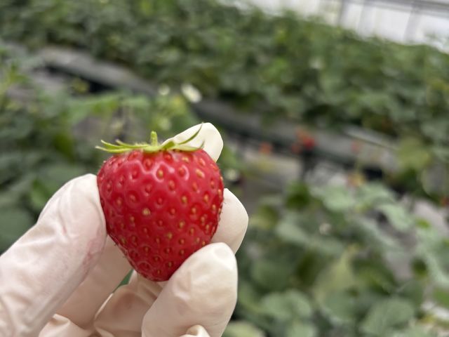 �Y��Ȃ�����_chord farm 175