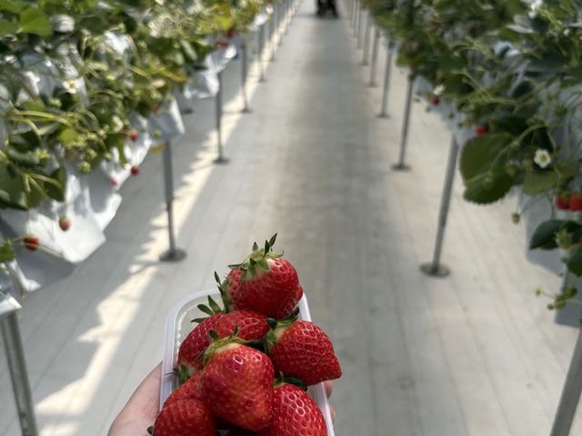 ���ׂĂ̂����������������ł���_�܂�Ղ� ��������