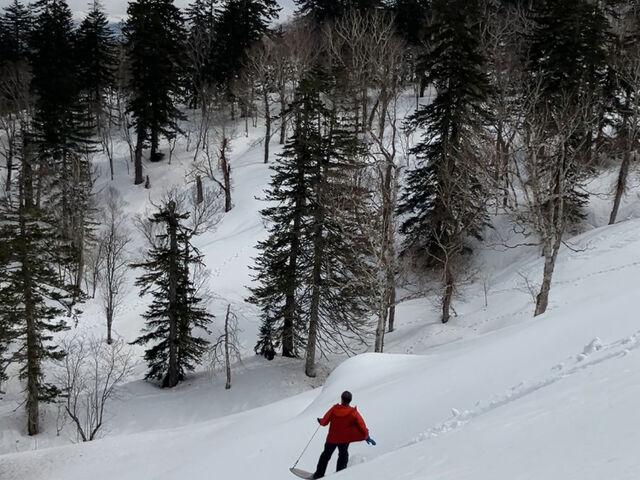 ��l�������ɂȂ�X�m�[�T�[�t�B��_�삠���уK�C�h�݂�����