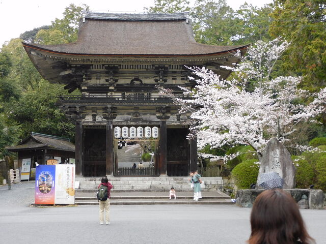 �O���`������̎O�䎛���̓��e�ʐ^1