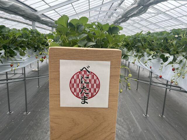 �ׂɂ���_ICHIGOSUKE