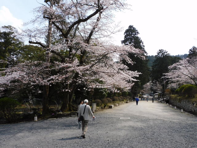 �Q��_�O�䎛�̍�