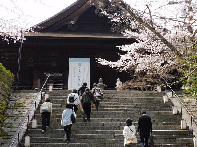 �O���`������̎O�䎛�i���鎛�j�̓��e�ʐ^2