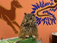 �݂̂���̃A�N�A�t�H���X�g�@-���̐X-�ւ̓��e�ʐ^1