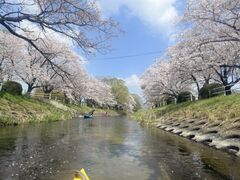 SAGASOW(��������)�̎ʐ^1