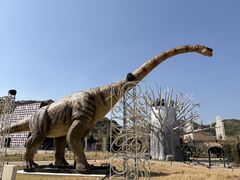 ���O�[�i�e���{�X ���O�i�V�A�̎ʐ^3