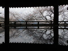 �O���`������̎O�䎛�ω����ւ̓��e�ʐ^1